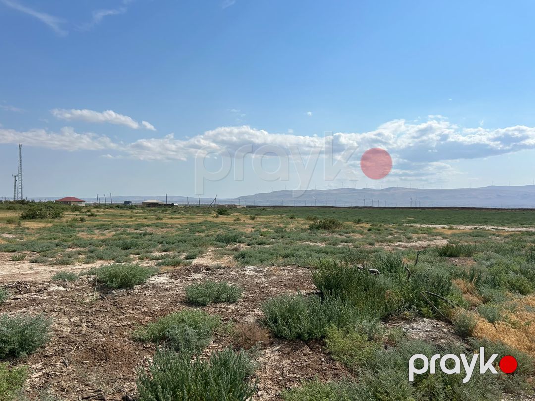 Satış: Torpaq, 511 sot, Xızı rayonu — Torpaq (9)