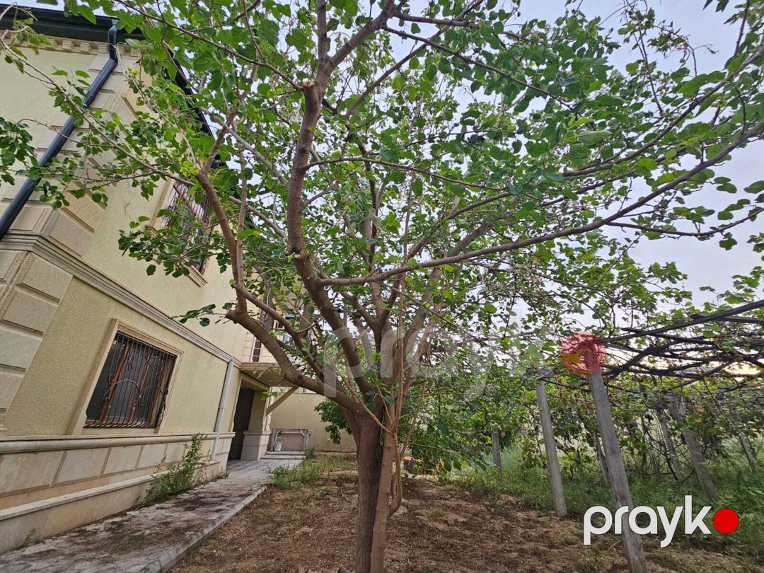 Satılır 5 otaqlı həyət evi/bağ evi 260 m² — Ev, villa, Bakı (8)