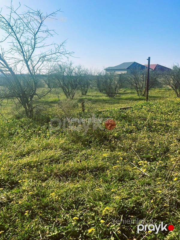 Satılır Torpaq sahəsi, 23 sot, Novxanı bağ massivi — Torpaq, Sumqayıt (3)