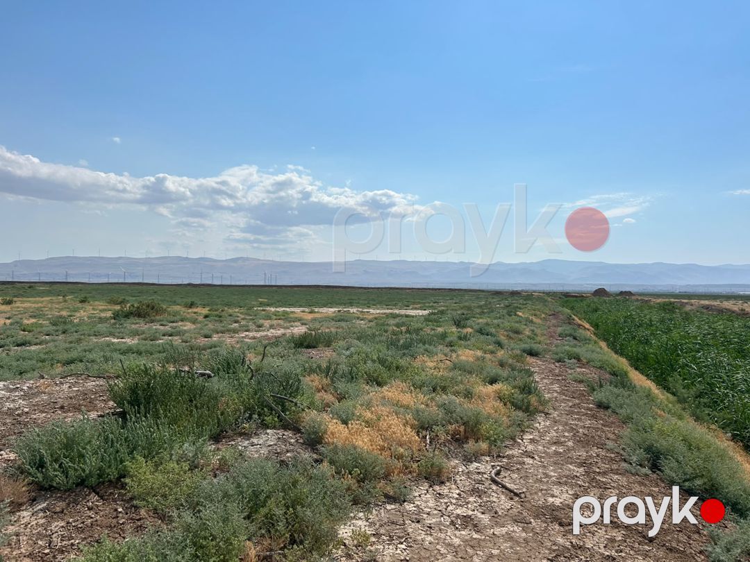 Satış: Torpaq, 511 sot, Xızı rayonu — Torpaq (7)