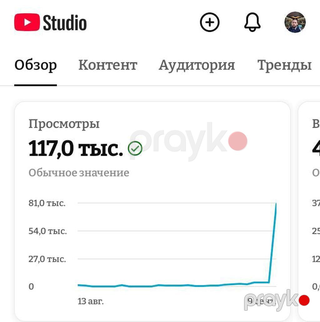 SMM menecer, 60 yaş, 5 ildən artıq təcrübə, Onlayn iş — Marketing, reklam, PR, Şamaxı (3)
