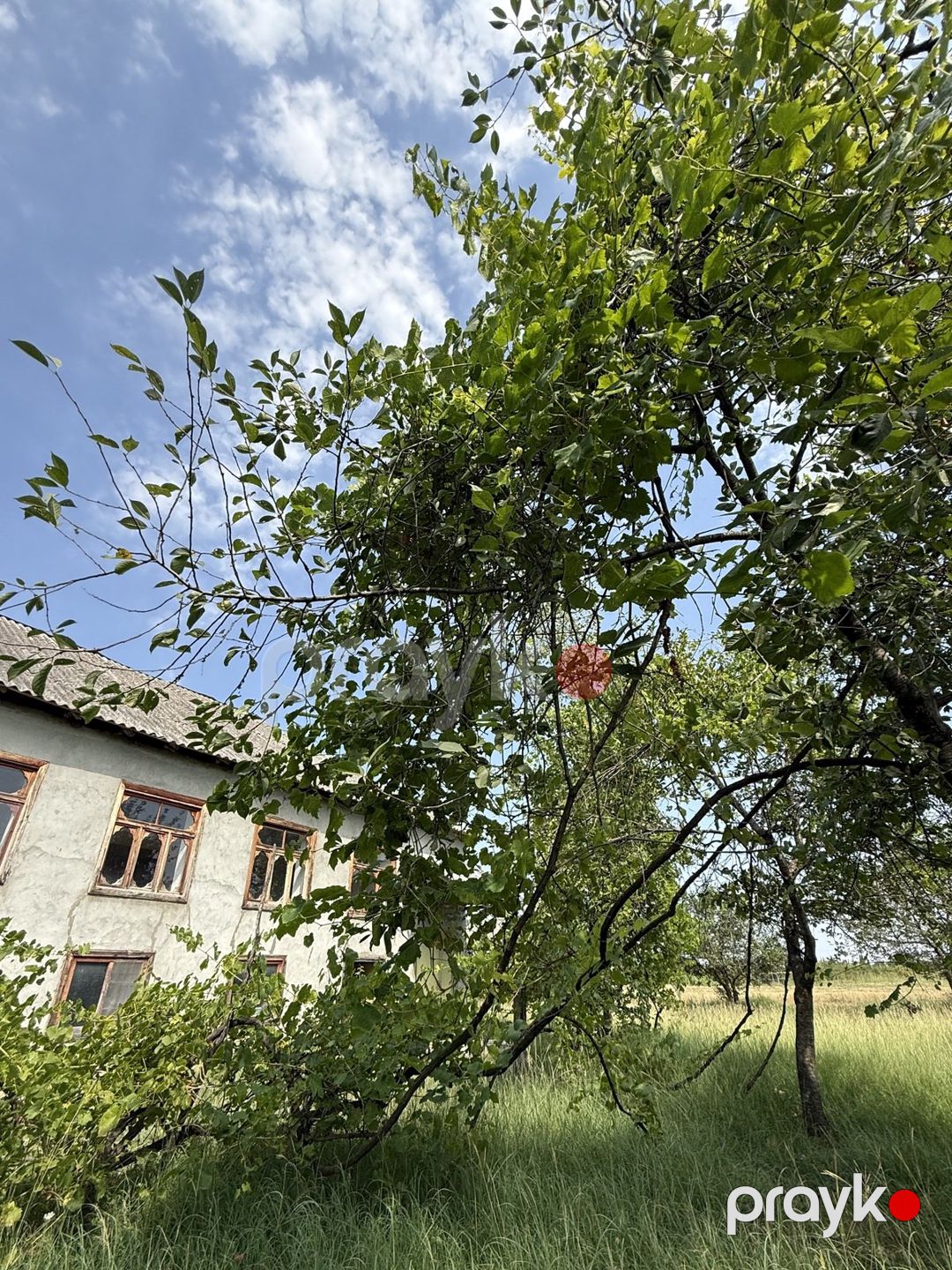 Satılır 4 otaqlı həyət evi/bağ evi 150 m² — Ev, villa, İsmayıllı (6)