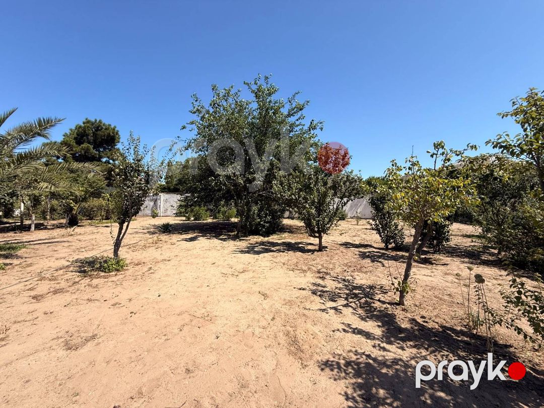 Satılır torpaq 5 sot — Torpaq, Bakı (3)