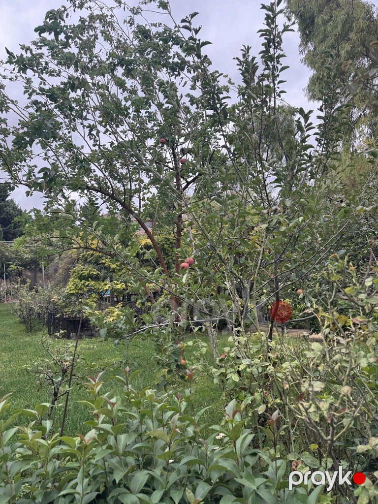 Satılır 6 otaqlı həyət evi/bağ evi 200 m² — Ev, villa, Bakı (3)