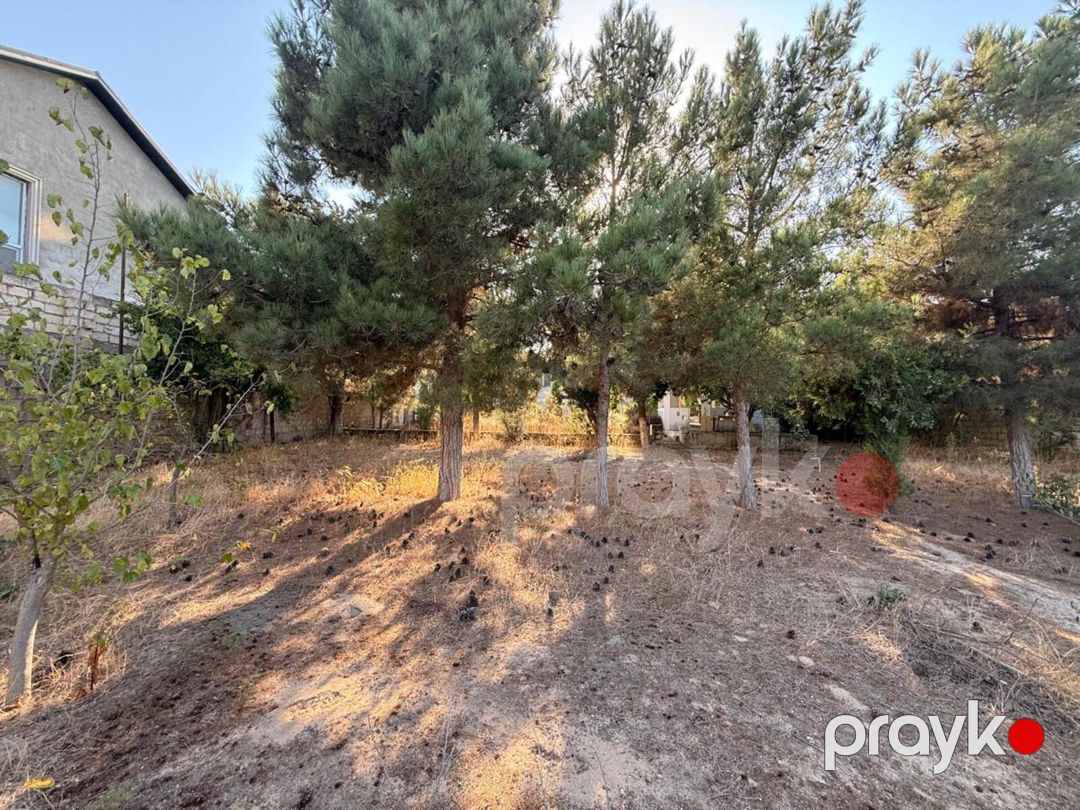 Satılır torpaq 19 sot — Torpaq, Bakı (12)