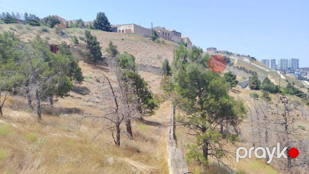 Satılır torpaq 6 sot — Torpaq, Bakı (5)