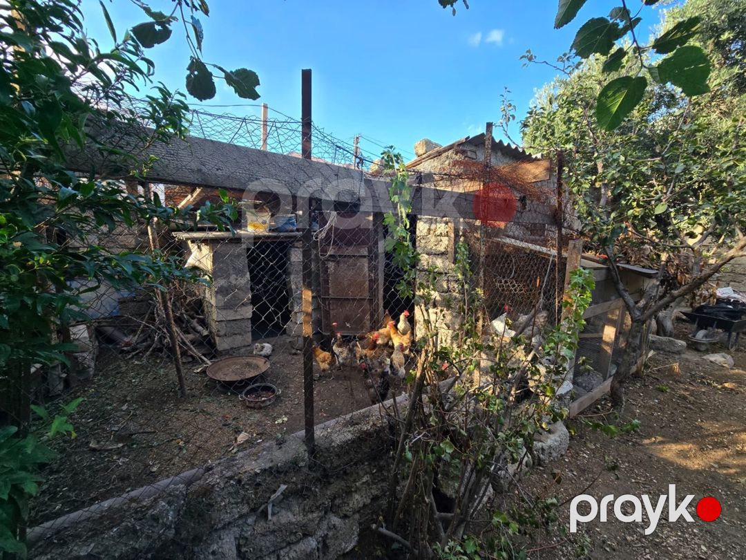 Həyət evi, Binə qəs — Ev, villa, Bakı (4)
