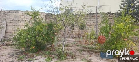 Sabunçu rayonunda Torpaq Satılır, 3 sot — Bakı