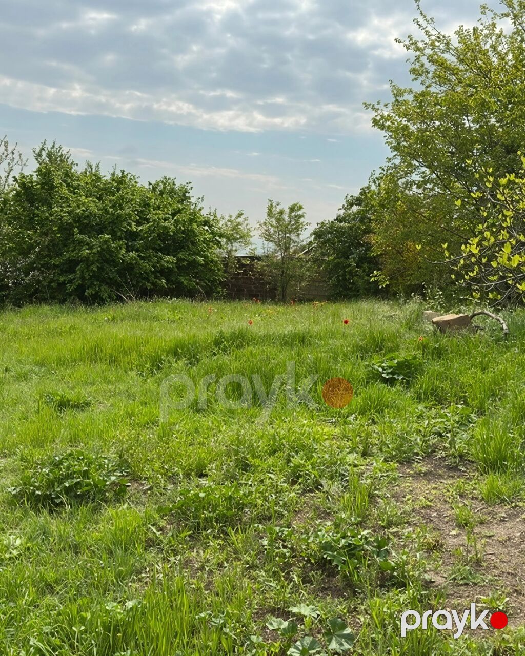 31 sot, Tikinti, Mülkiyyətçi, Kupça (Çıxarış) — Torpaq, Xaçmaz (3)