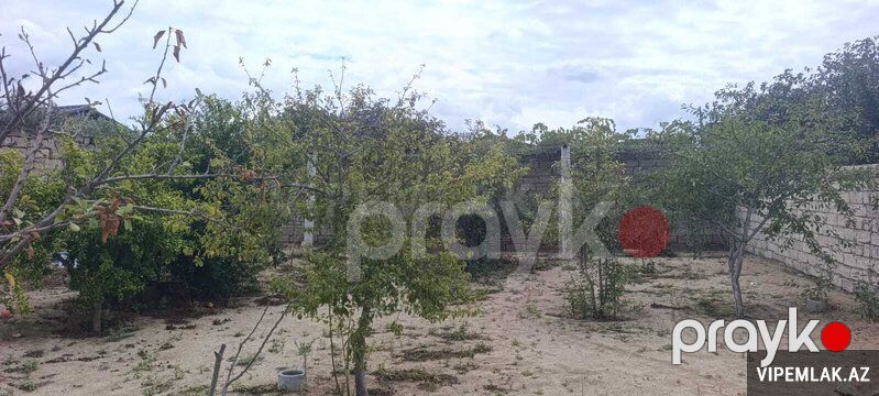 Sabunçu rayonunda Torpaq Satılır, 3 sot — Torpaq, Bakı (3)