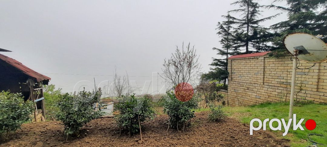 Həyət evi, Lənkəran ş — Ev, villa, Lənkəran (8)