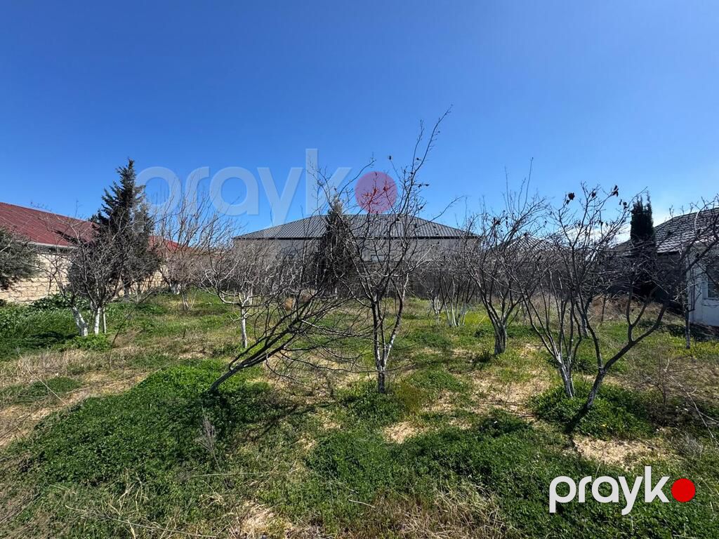 Satılır torpaq 13 sot — Torpaq, Bakı (3)