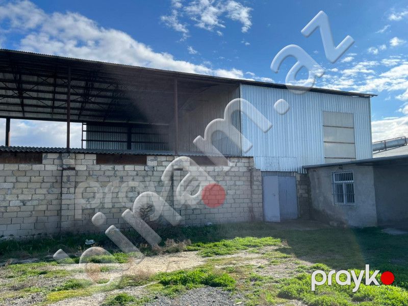 30 hektar Torpaq, Satış, Şirvan — Torpaq, Şirvan (8)