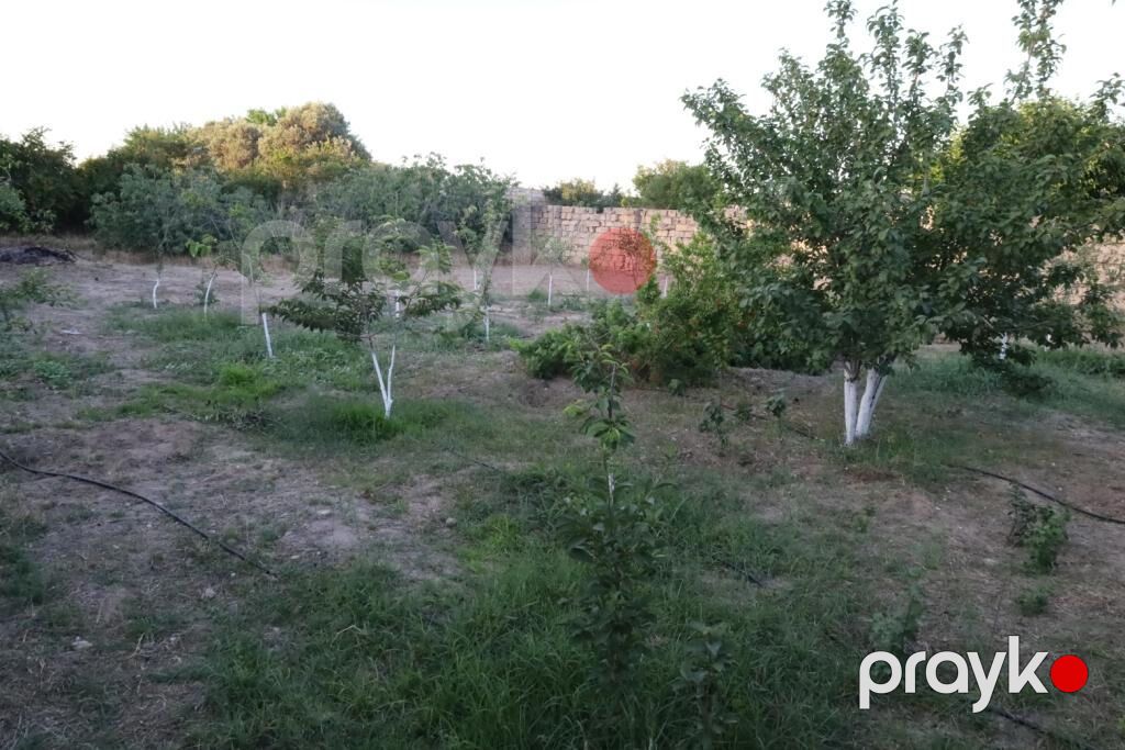 10 sot, Tikinti, Barter mümkündür, Kupça (Çıxarış) — Torpaq, Bakı (4)
