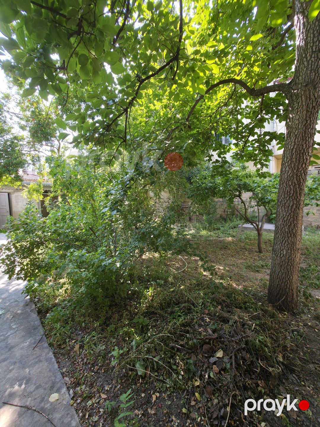 Satılır 5 otaqlı həyət evi/bağ evi 160 m² — Ev, villa, Bakı (4)
