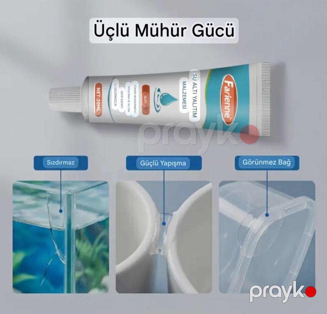 Sualtı yapışqan — Akvariumlar və balıqlar, Bakı (2)