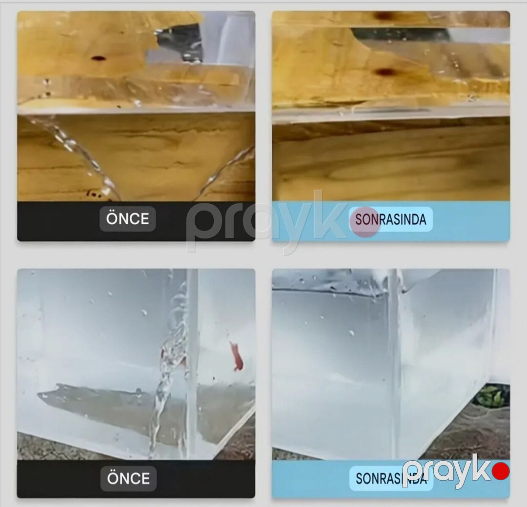 Sualtı yapışqan — Akvariumlar və balıqlar, Bakı (3)