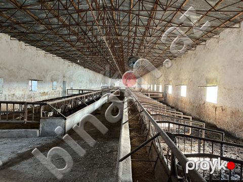 30 hektar Torpaq, Satış, Şirvan