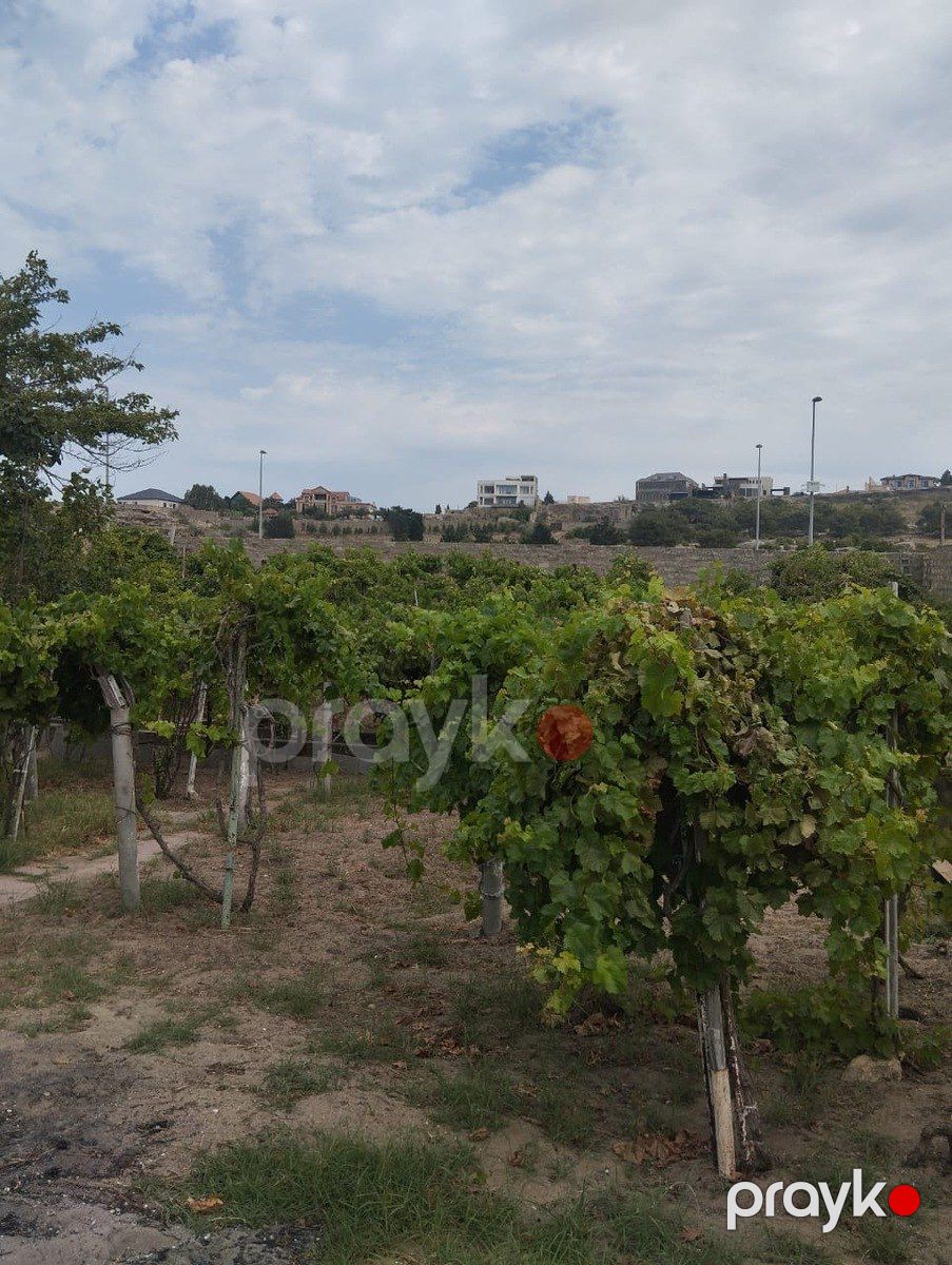 Satılır torpaq 6 sot — Torpaq, Bakı (4)