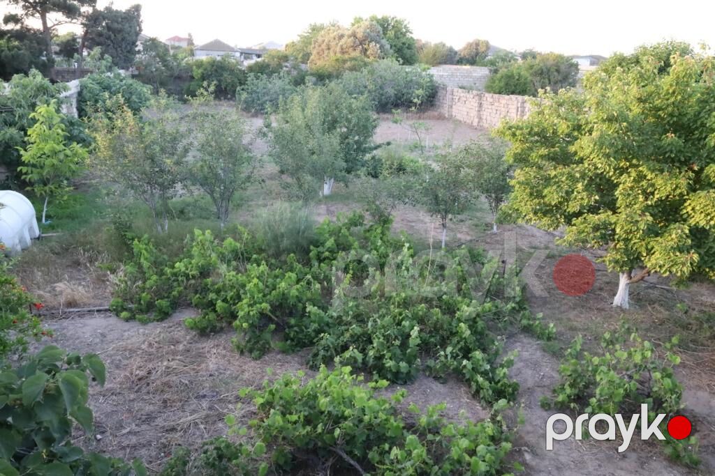 10 sot, Tikinti, Barter mümkündür, Kupça (Çıxarış) — Torpaq, Bakı (6)