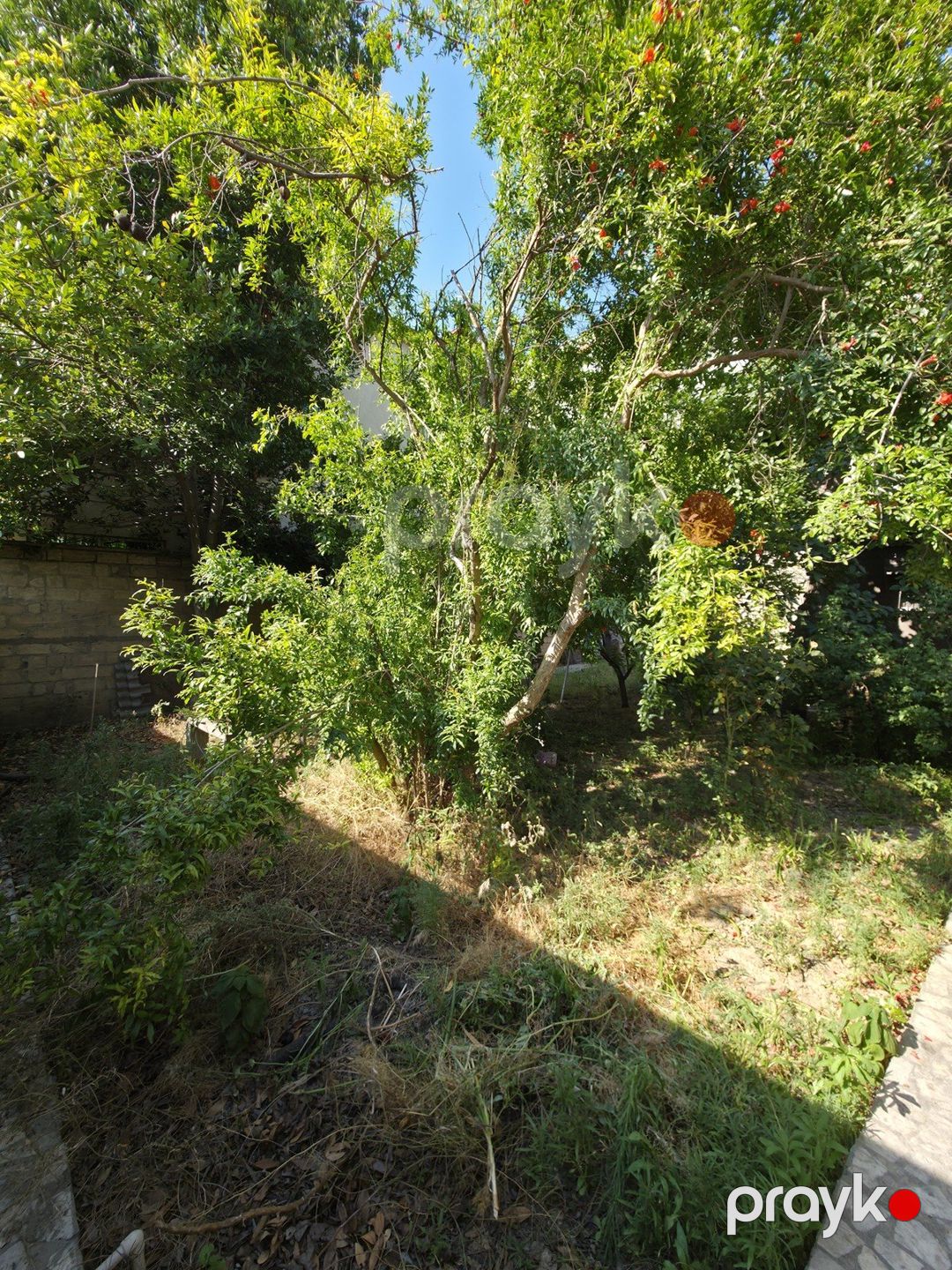 Satılır 5 otaqlı həyət evi/bağ evi 160 m² — Ev, villa, Bakı (3)