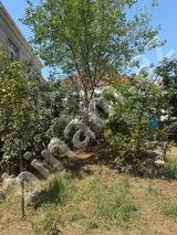 3 otaqlı Villa / Həyət evi, Satış, Bakı, Sabunçu — Tapemlak — Ev, bağ, kottec