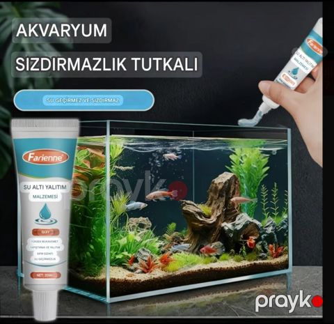 Sualtı yapışqan — Bakı