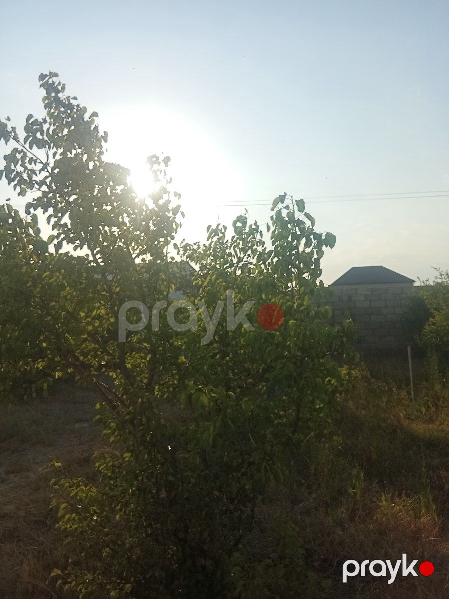 6 sot torpaq sahəsi, Yaşma bağları — Torpaq, Sumqayıt (6)