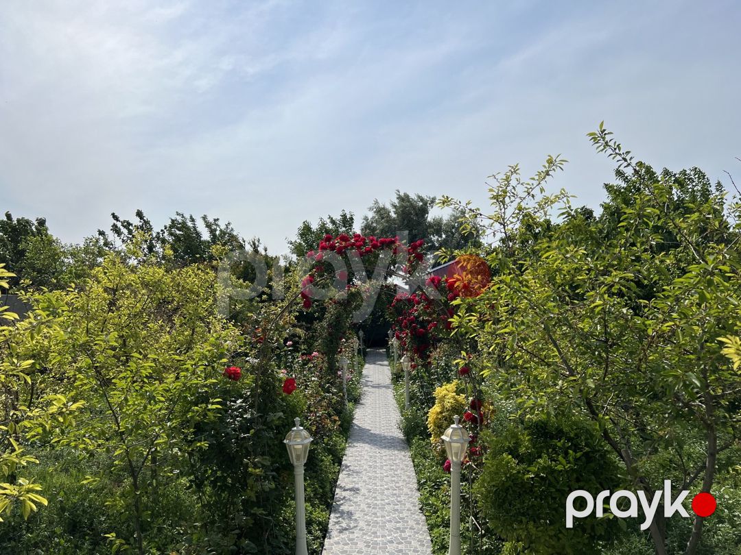 Satılır 4 otaqlı həyət evi/bağ evi 200 m² — Ev, villa, Bakı (4)