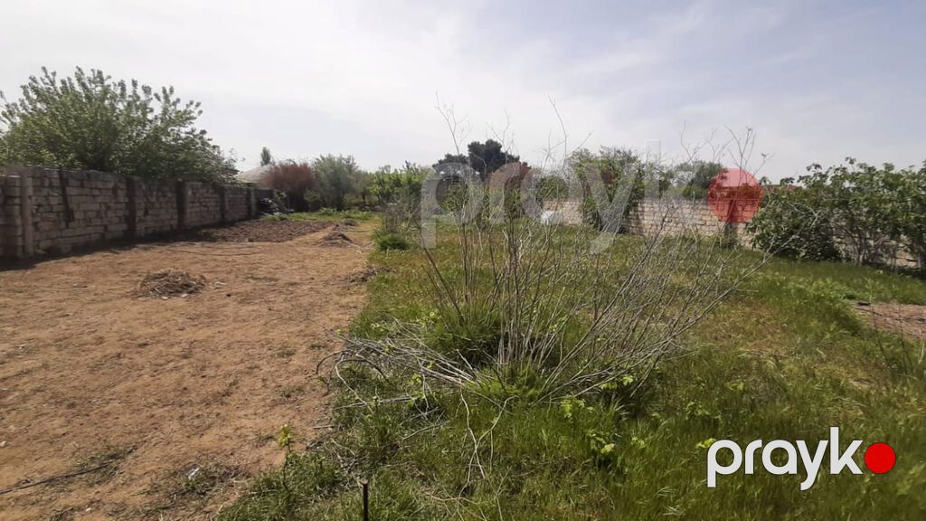 10 sot, Tikinti, Barter mümkündür, Kupça (Çıxarış) — Torpaq, Bakı (7)