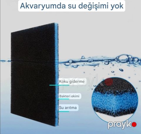 Akvarium süngəri — Bakı