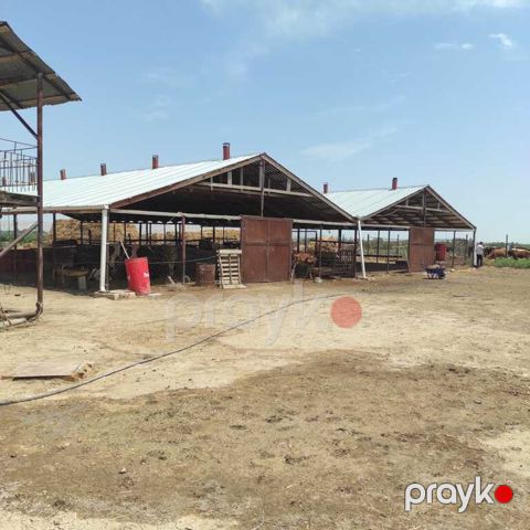 Satılır obyekt 15000 m² — Hacıqabul