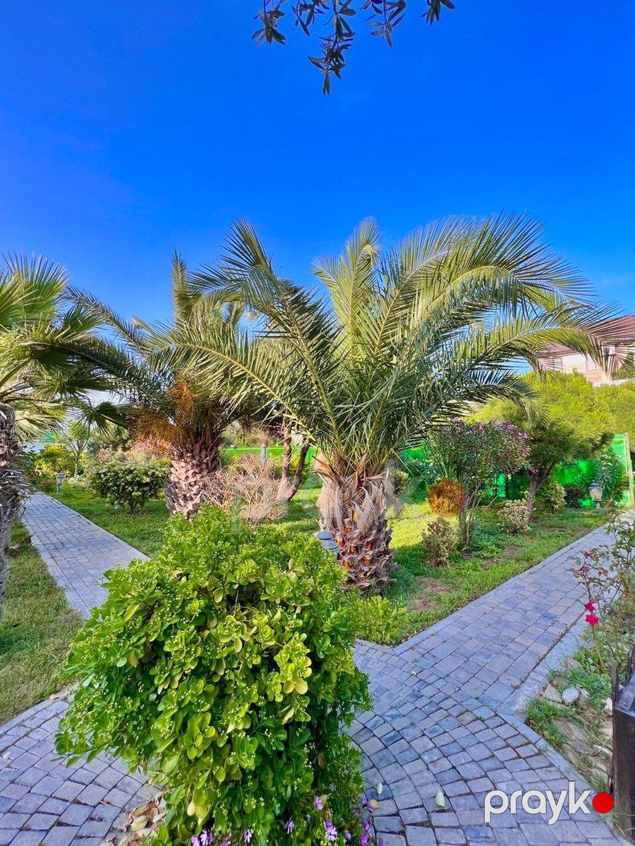 İcarəyə verilir 5 otaqlı həyət evi/bağ evi 300 m² — Ev, villa, Bakı (11)