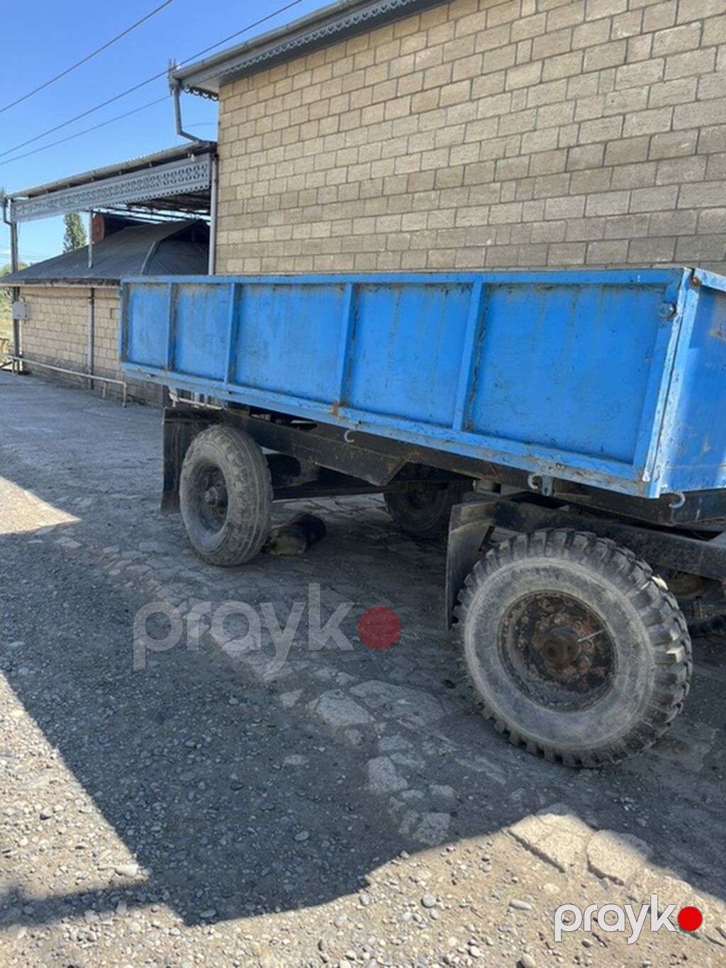 Salam lapet satılır 2 ədəd dir neftçala rayonun qədimkənd kəndindədir — Yardımçı qoşqular, Salyan (4)