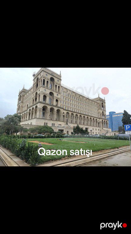 Qazon — Bitkilər, Bakı (5)