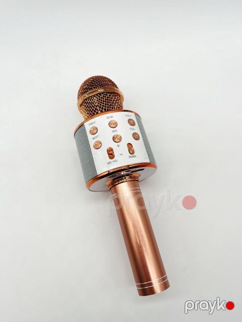 Portativ karaoke mikrofonu və dinamik (Bluetooth) - 2-si 1-də — Bakı