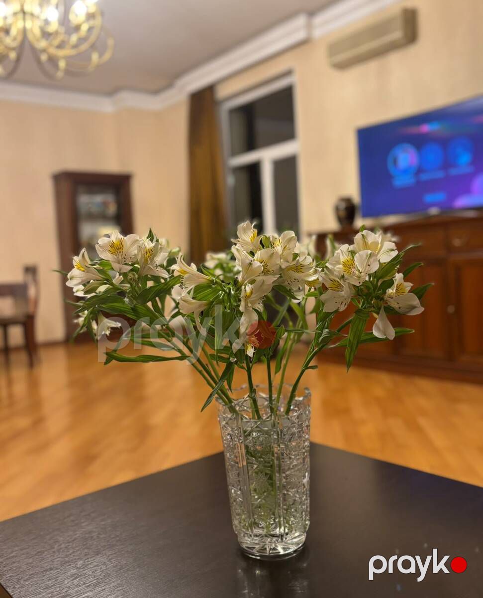 Satılır 5 otaqlı yeni tikili 220 m² — Mənzil, Bakı (11)