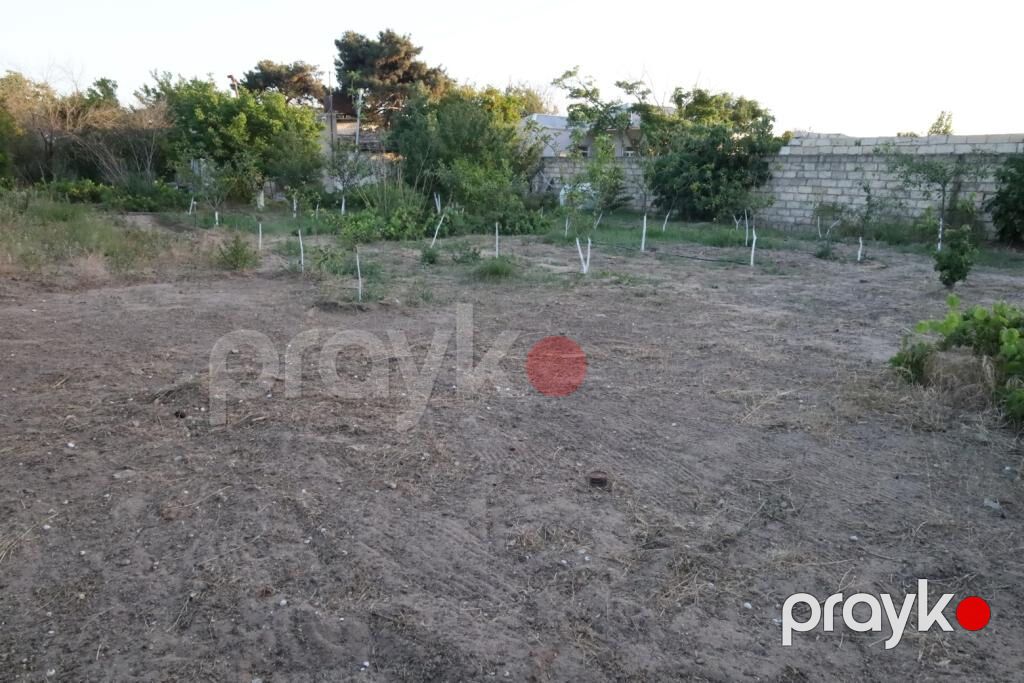 10 sot, Tikinti, Barter mümkündür, Kupça (Çıxarış) — Torpaq, Bakı (3)
