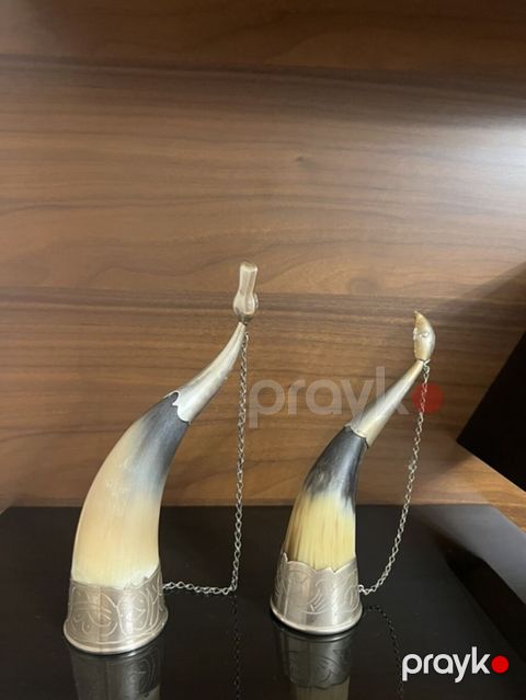 İki ədəd dekorativ içki buynuzu (komplekt). Melxyor kantlarla — Bakı