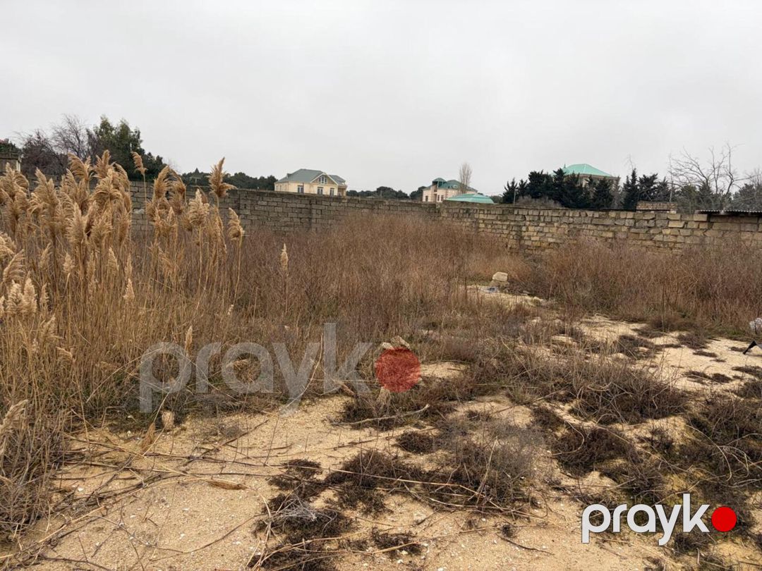 Satılır torpaq 25 sot — Torpaq, Bakı (5)