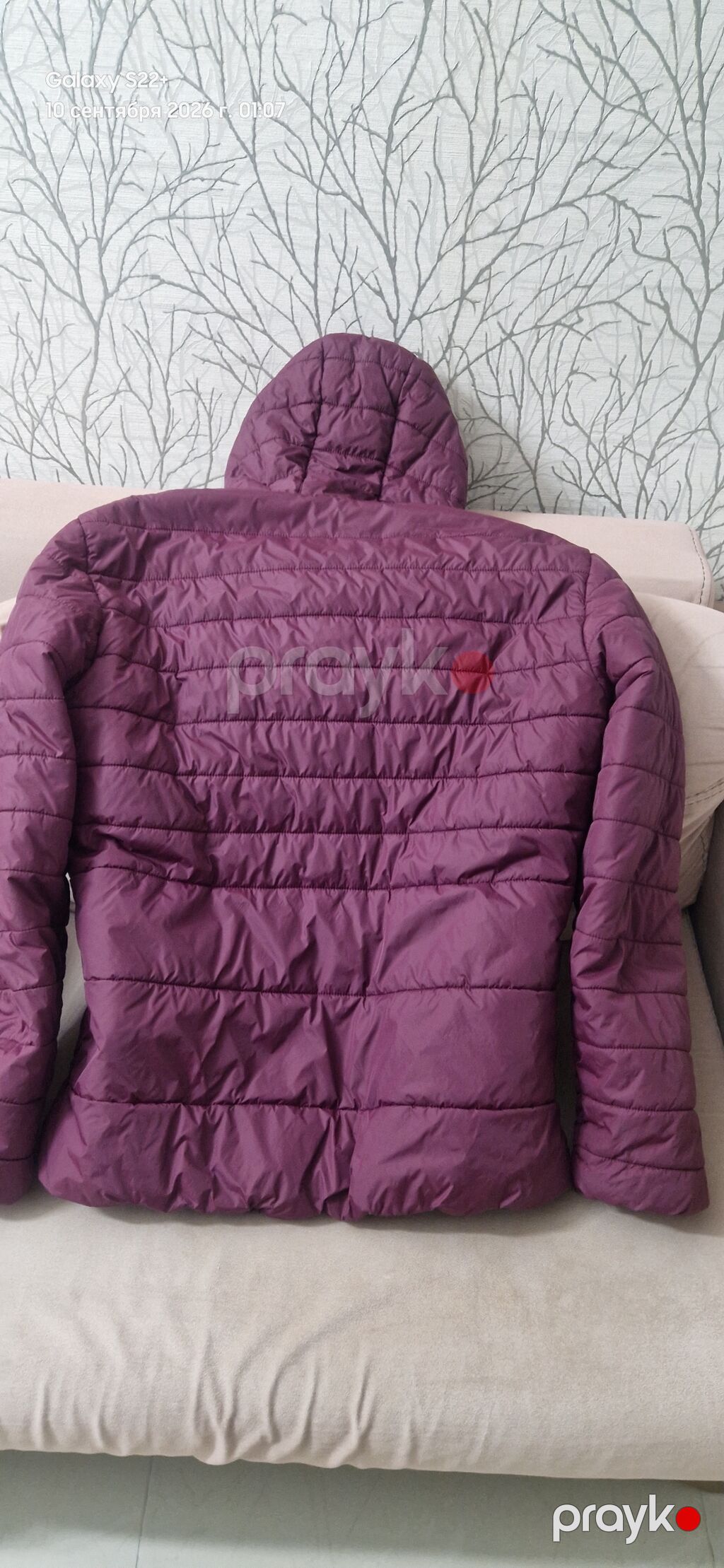 Kurtka, Bolonka, Qış, XL — Kurtkalar, Bakı (2)