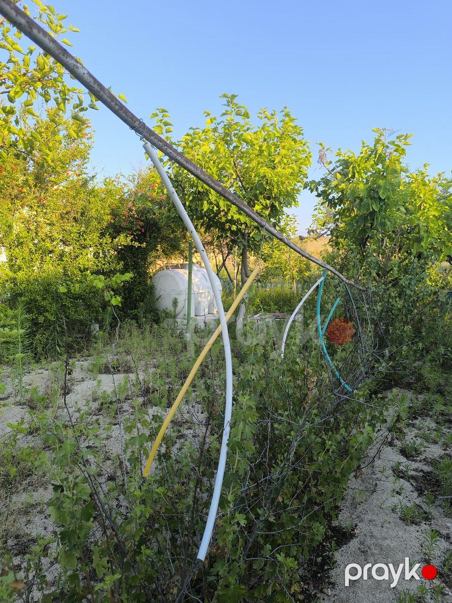Satılır torpaq 3 sot — Torpaq, Bakı (11)