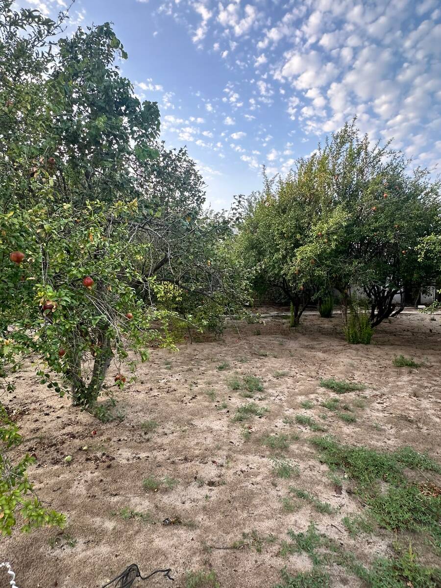 Satılır torpaq 4 sot — Torpaq, Bakı (5)