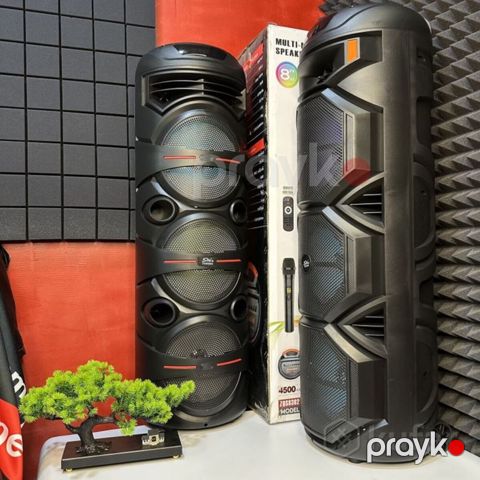 Karaoke bluetooth dinamik — Bakı
