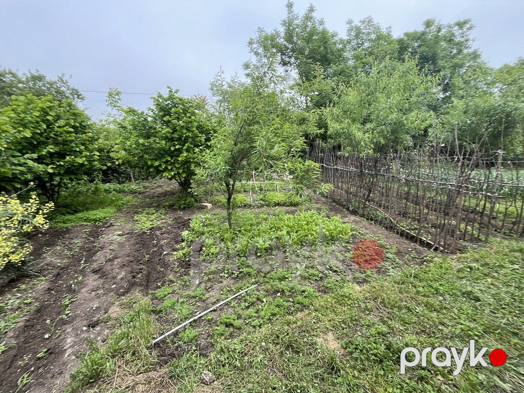 Satılır torpaq 4 sot — Torpaq, Şamaxı (5)