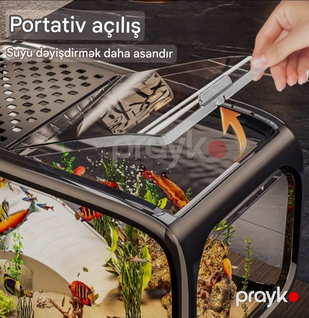 Akvarium — Akvariumlar və balıqlar, Bakı (2)