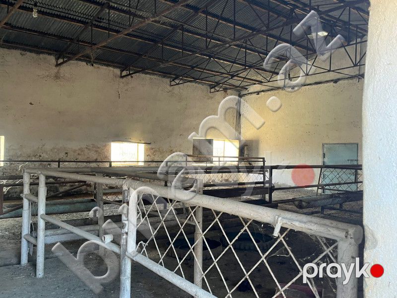 30 hektar Torpaq, Satış, Şirvan — Torpaq, Şirvan (5)