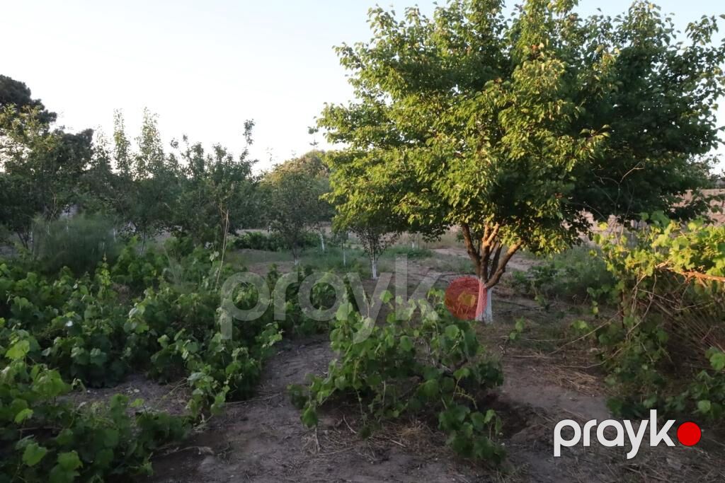 10 sot, Tikinti, Barter mümkündür, Kupça (Çıxarış) — Torpaq, Bakı (5)