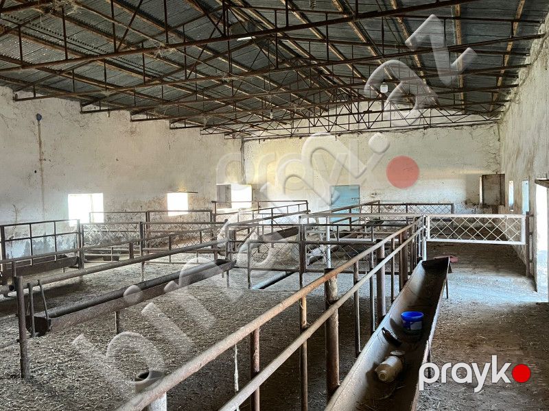 30 hektar Torpaq, Satış, Şirvan — Torpaq, Şirvan (2)
