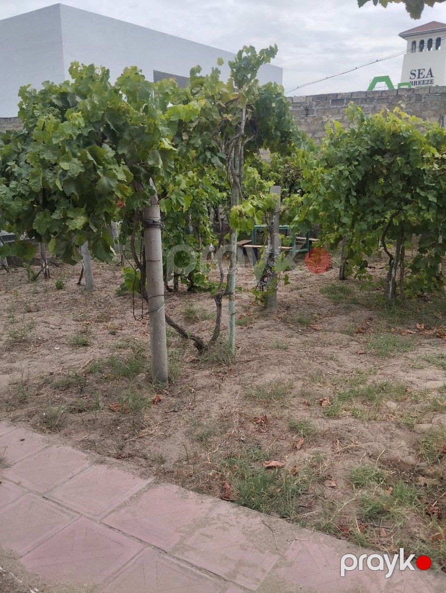 Satılır torpaq 6 sot — Torpaq, Bakı (2)